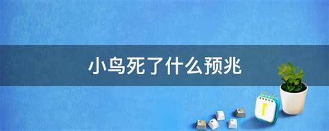 小鸟死在院子里|院子里有只死鸟是什么预兆？